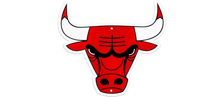 Which pro franchise competes under this logo?